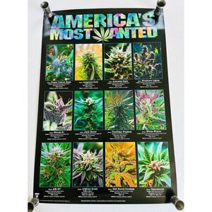 Americas Most Wanted Cannabis Large Wall Poster College Collection‎ 24x36 inch